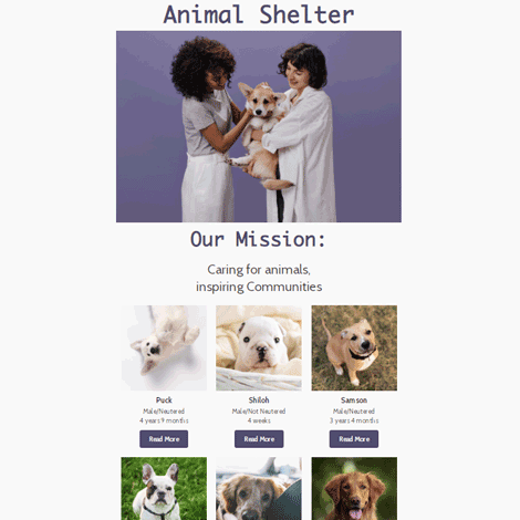 Animal Shelter Adoption Dog And Cat Donations